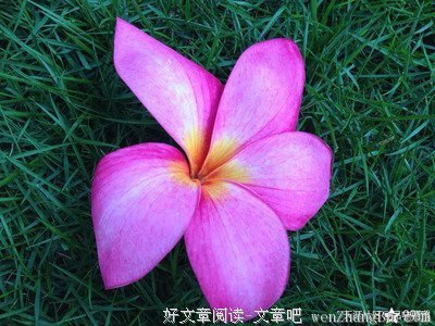 写给你——亲爱的自己
