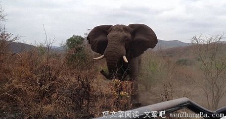 昨晚伤心树发飙大战吴昕潘玮柏粉丝，看的我惊心动魄！