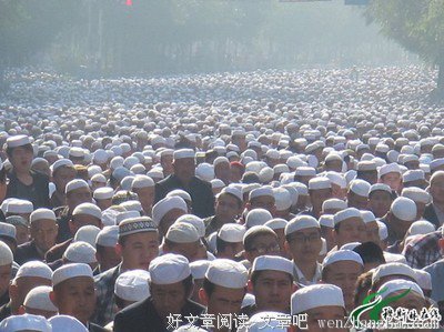 太多要学的