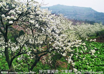 关于一场春梦的名句摘抄