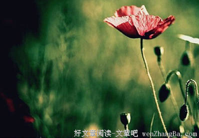 &quot; 深到骨子里的教养，是不对亲近的人发脾气 &quot;