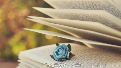 关于半死不活名言名句