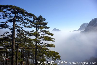 坦荡的名言_关于坦荡的名言