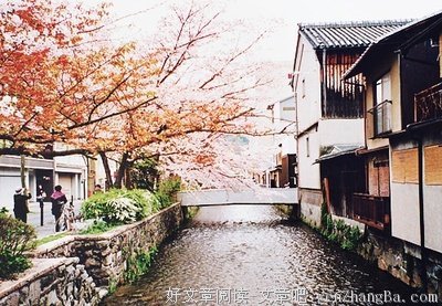 最经典的《人间系列》经典语录