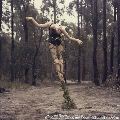 最新的《无地》经典的句子