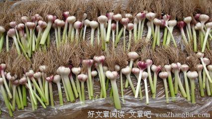如何高效地吵个好架？