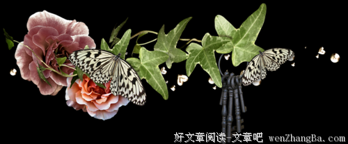 莹莹的语句摘抄_关于莹莹的语句