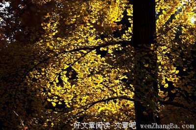关于和睦相处的名言