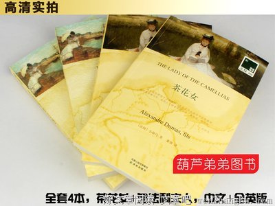 《包法利夫人》小说摘抄