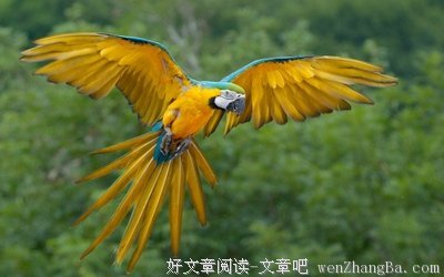 脊椎动物格言警句