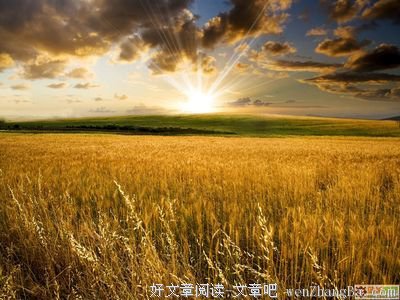 《麦田守望者》经典语录