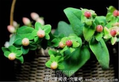 学会原谅，是人生最大的福气