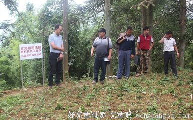 关于袁宏的座右铭