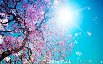 关于一塌糊涂的格言