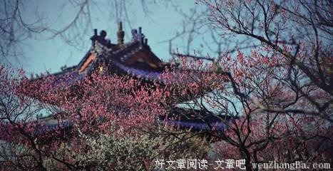 关于空空如也的座右铭