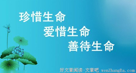 生命不能承受之轻（深度好文）
