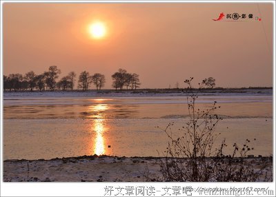 最全的《芳草无情》小说书摘