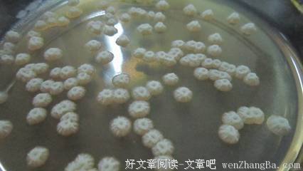 「黄色信箱 138」我们的血盆大口，等着咬想咬的人