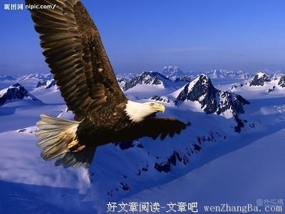 徐晴媛名言名句