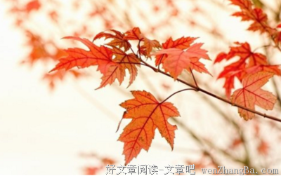 9月桃花运好，下旬贵人运好的几个星座，秋来丰收！