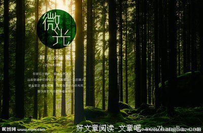 最全的《微光》经典句子