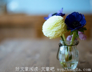 15条关于一贫如洗的经典语句