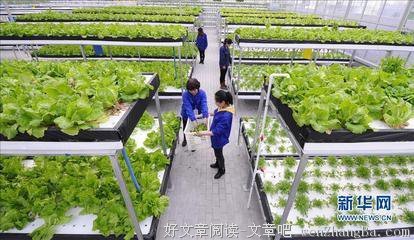 金牛座喜欢的异性类型