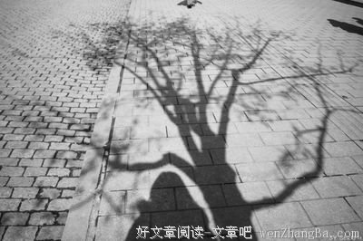 文艺青年的语句摘抄_关于文艺青年的语句