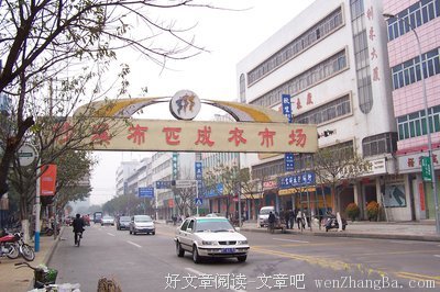 最经典的朱迪·皮考特名言名句
