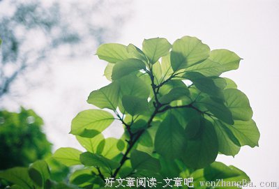 15条关于物是人非的经典语句