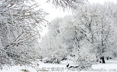 关于白雪皑皑名言名句