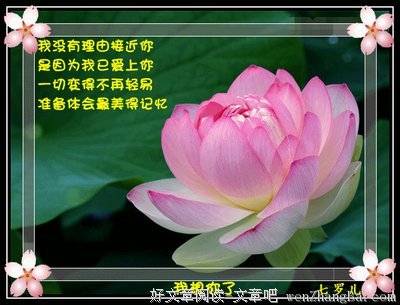 我想你了。