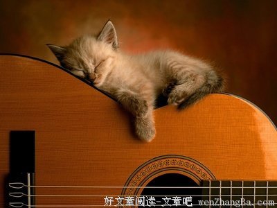 关于心灰意冷的座右铭