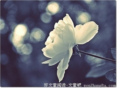 《冰菓》语录摘抄