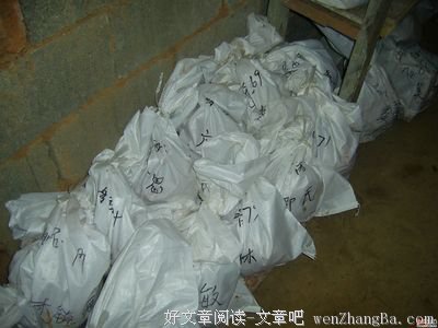 悲歌 一