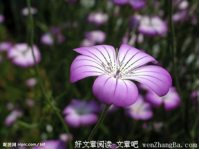 我的亲爱的