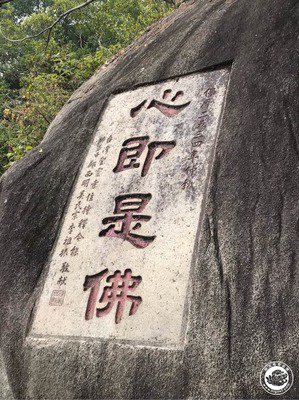 看完孕妇跳楼事件后的我不敢谈恋爱了｜论社会事件带来的焦虑恐惧