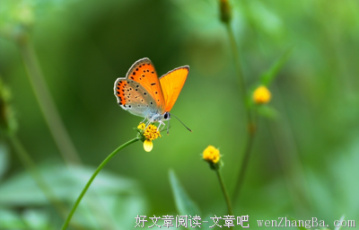关于变化无常的语句