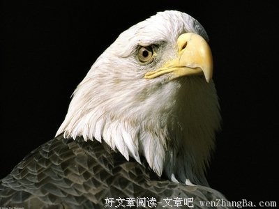 最全的蔚蓝15句经典名言