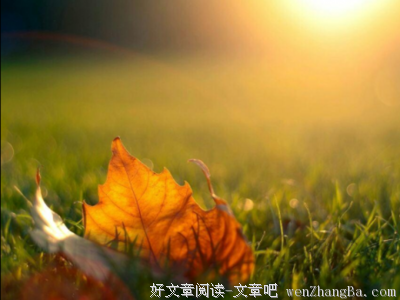 关于言谈举止的格言