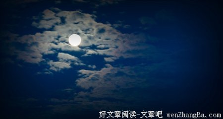 最全的《九个故事》小说摘抄大全