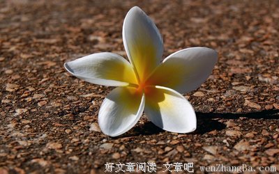 关于知冷知热的语句