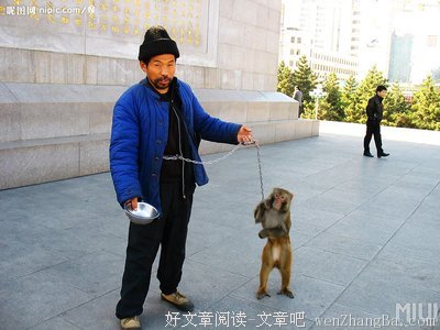 我们，像什么
