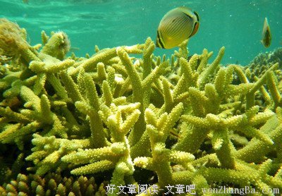 其实一个人去旅行真系好正。