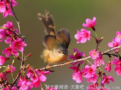 心结