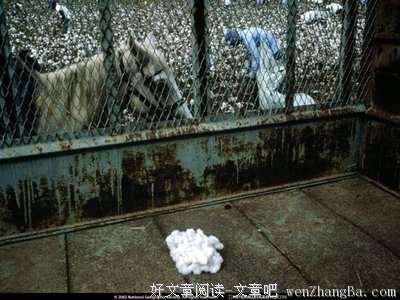 问答 | 必看！如何判断一段感情是否适合走下去