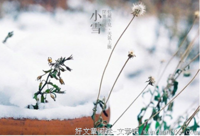 关于小雪的语句