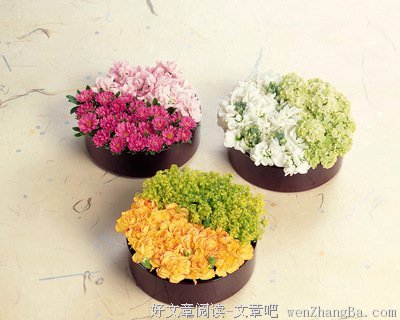 这一眼，相约今生