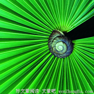 爱，是一个危险花园吗？——从戴安娜的曲折人生谈起