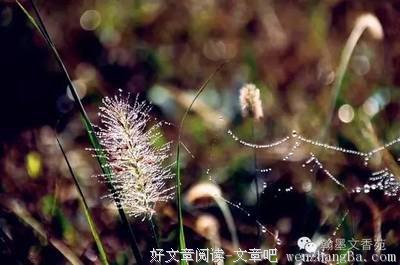 佝偻的名句_关于佝偻的名句